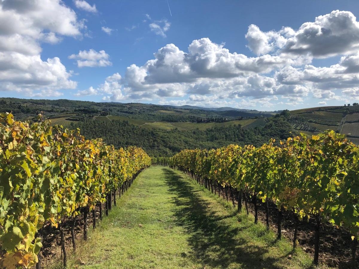 Fattoria Di Rignana Winery Bnb Greve in Chianti Eksteriør bilde