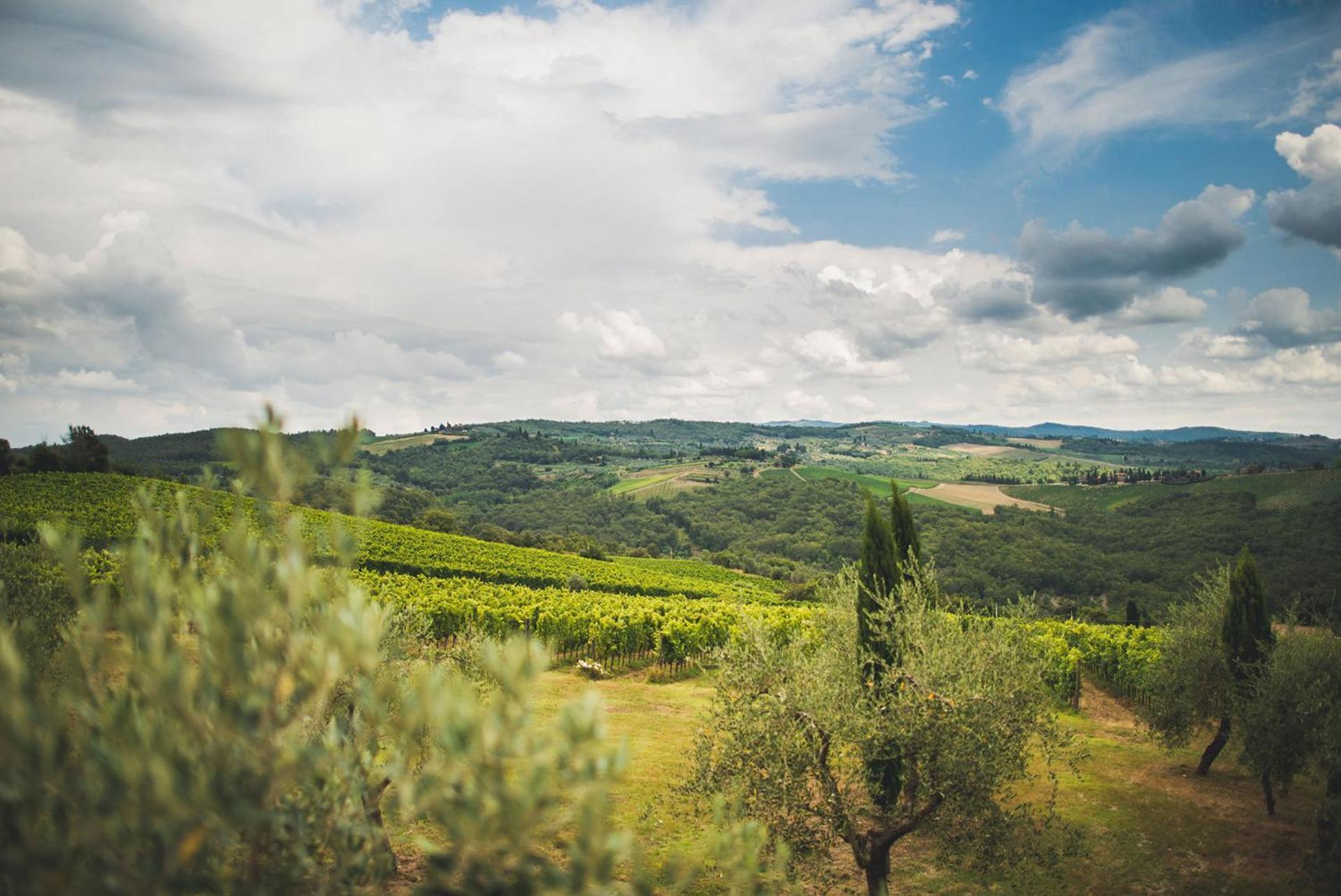 Fattoria Di Rignana Winery Bnb Greve in Chianti Eksteriør bilde