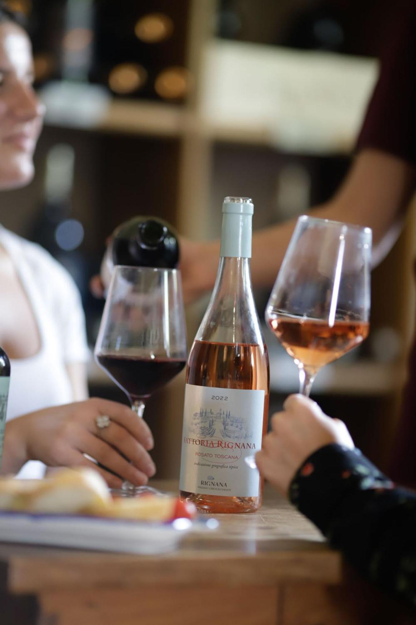 Fattoria Di Rignana Winery Bnb Greve in Chianti Eksteriør bilde
